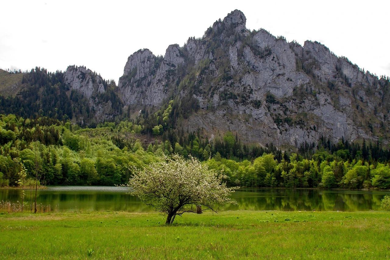 Laudachsee