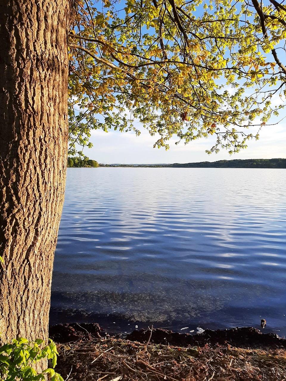 Seefeld Angelgewässer Slideshow