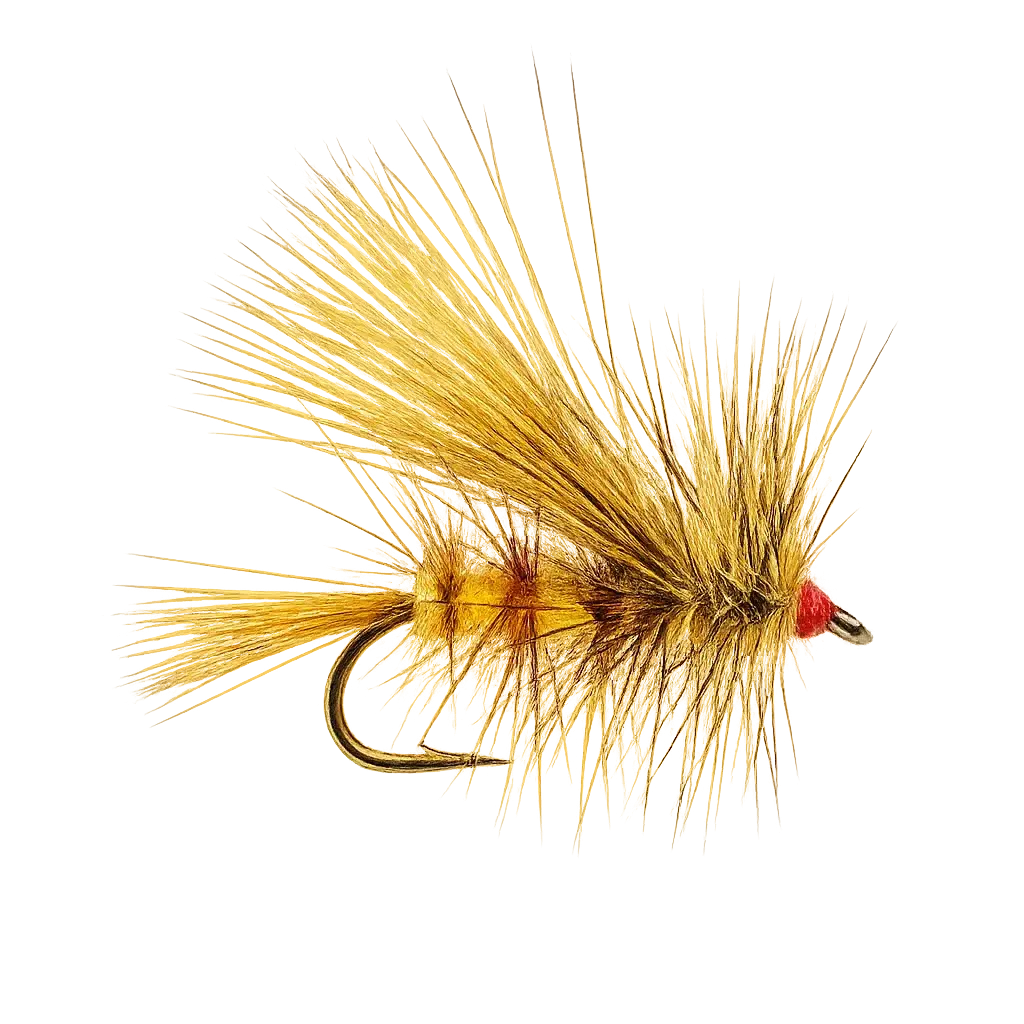 Aasafbeelding Trockenfliege