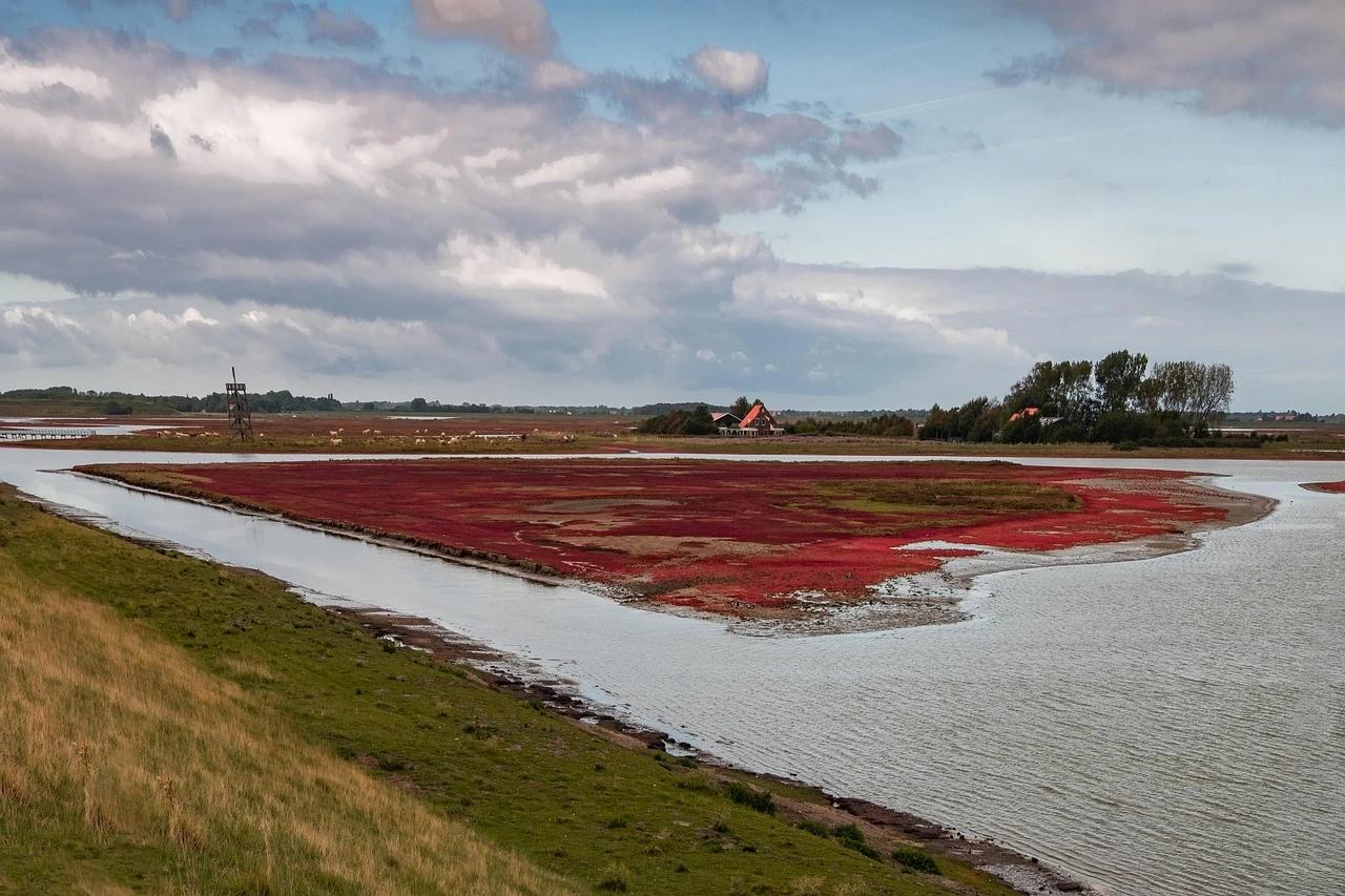 Oosterschelde