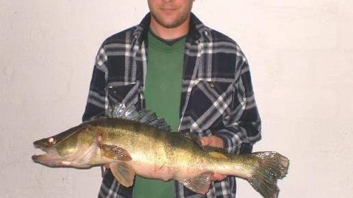 Pikeperch caught on 2026-06-30T07:32:49Z