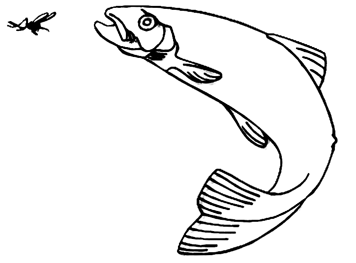 Bergischer Fischereiverein 1889 e.V.