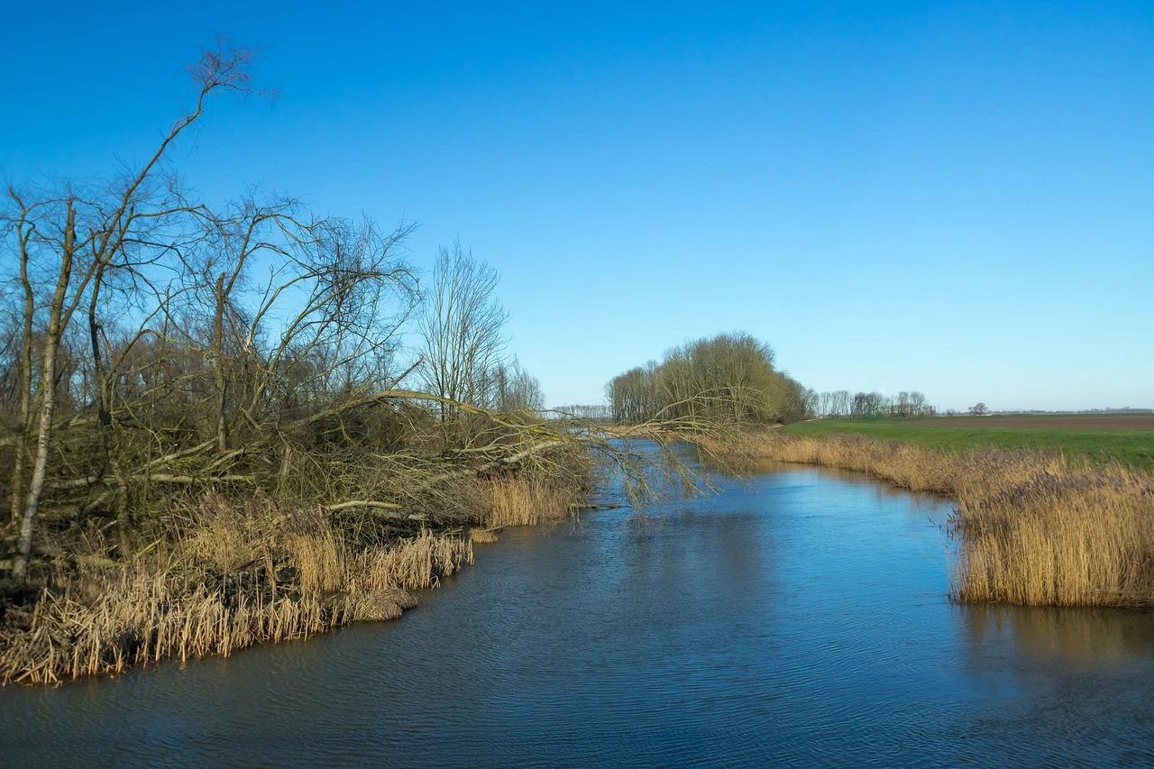 Biesbosch