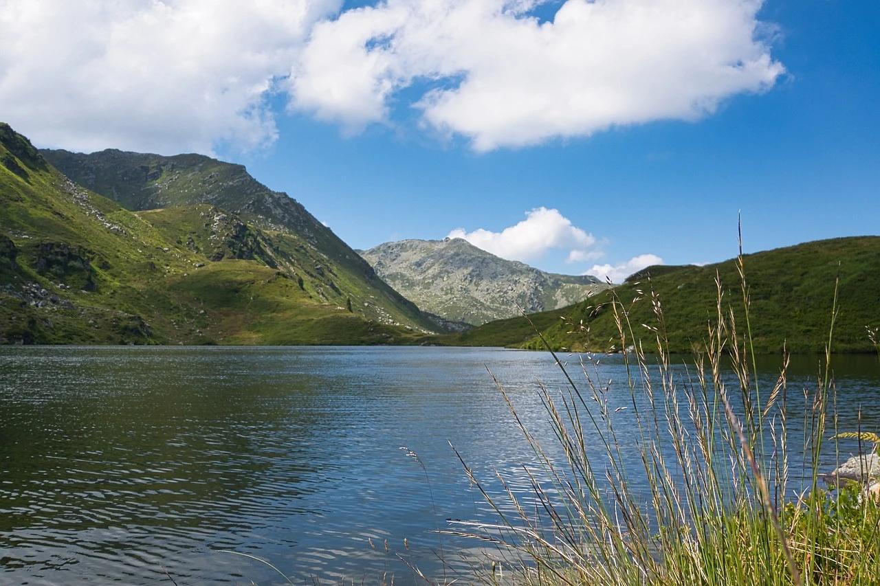 Wildalmsee