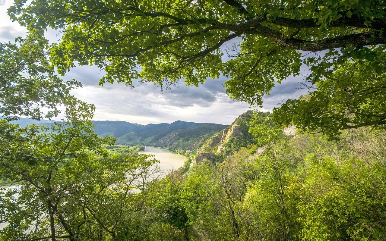 Donau