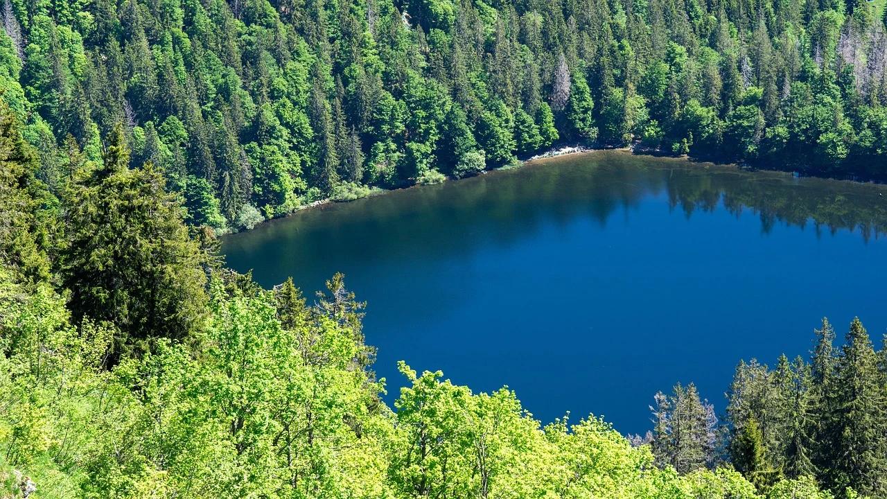 Feldsee