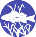 Angelsportverein Schenefeld e.V.