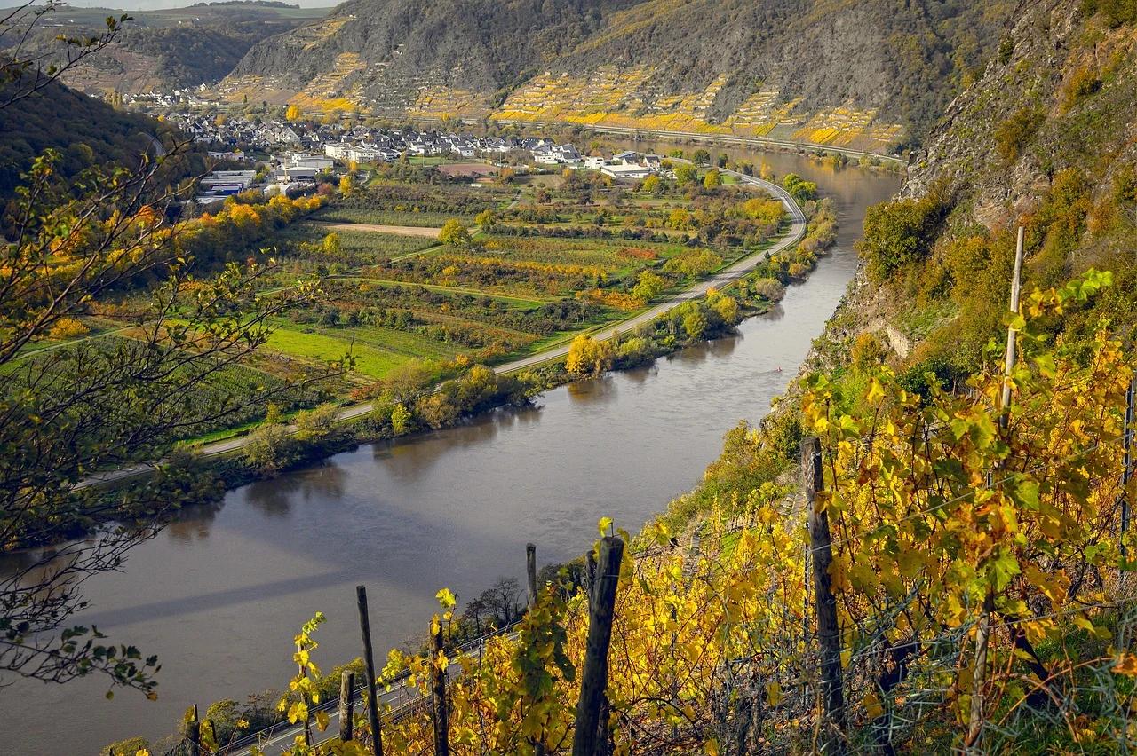 Moselle