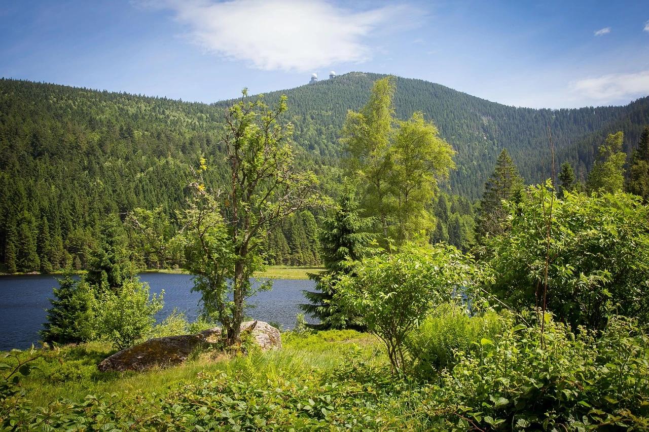 Kleiner Arbersee