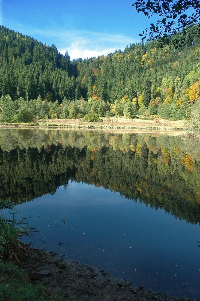 Sankenbachsee