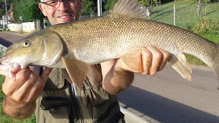 Barbel caught on 2026-07-06T15:50:20Z