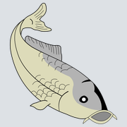Angler-Club-Freundschaft Lampertheim 1964 e.V.