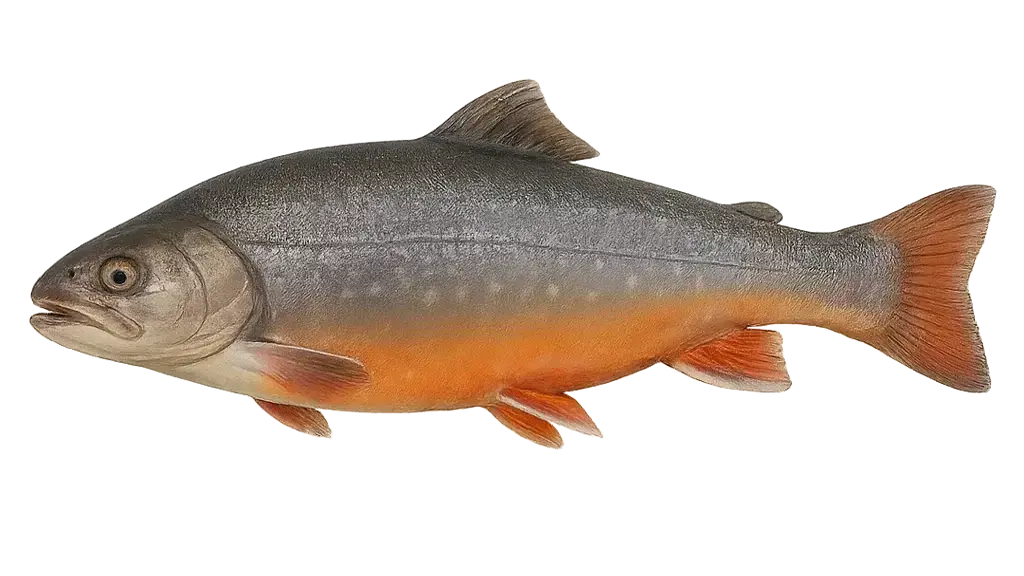 Seesaibling