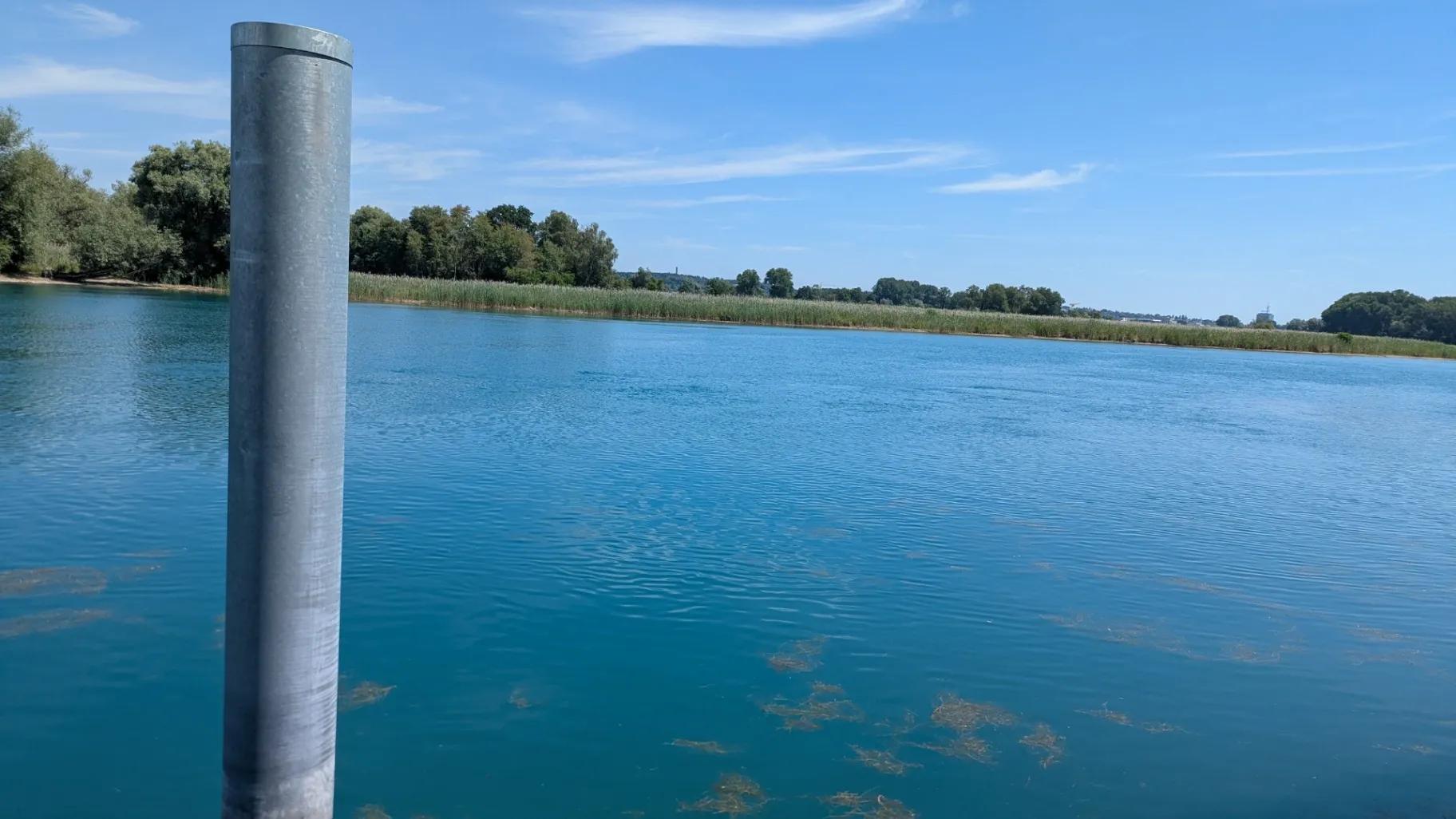 Rhein