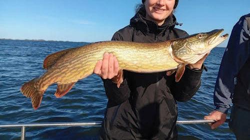 Catch photo Pike