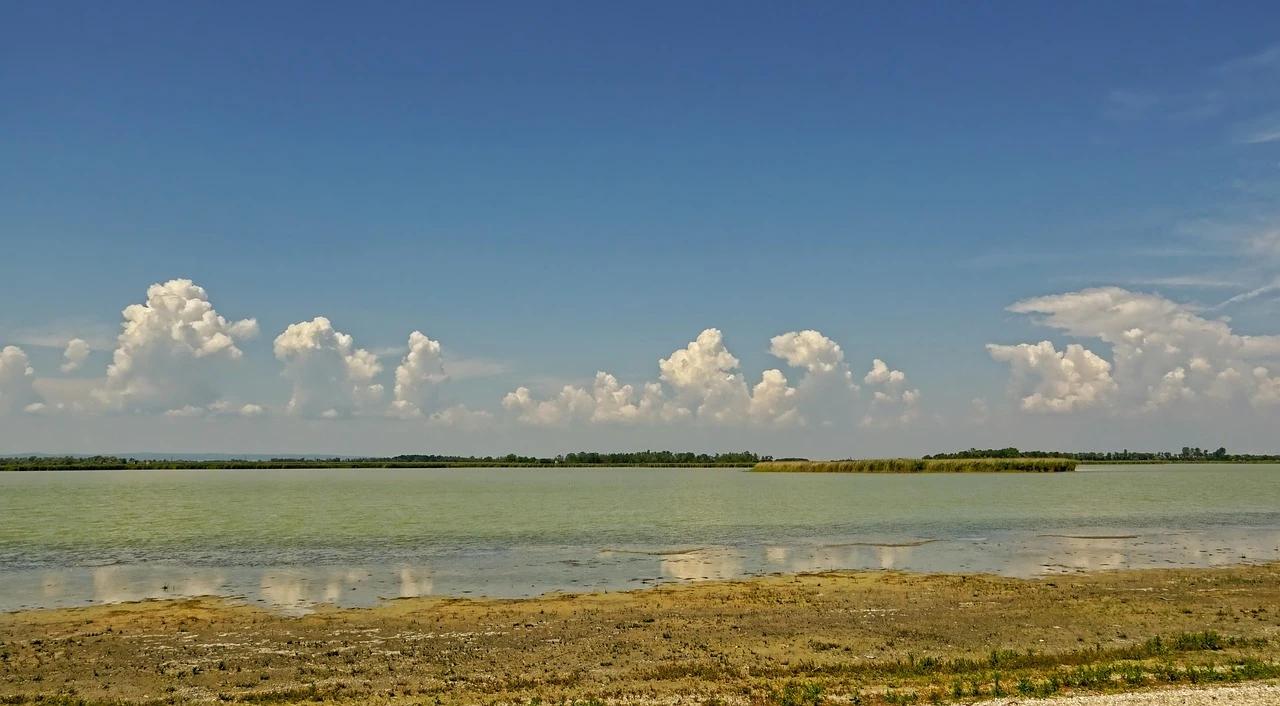 Zicksee