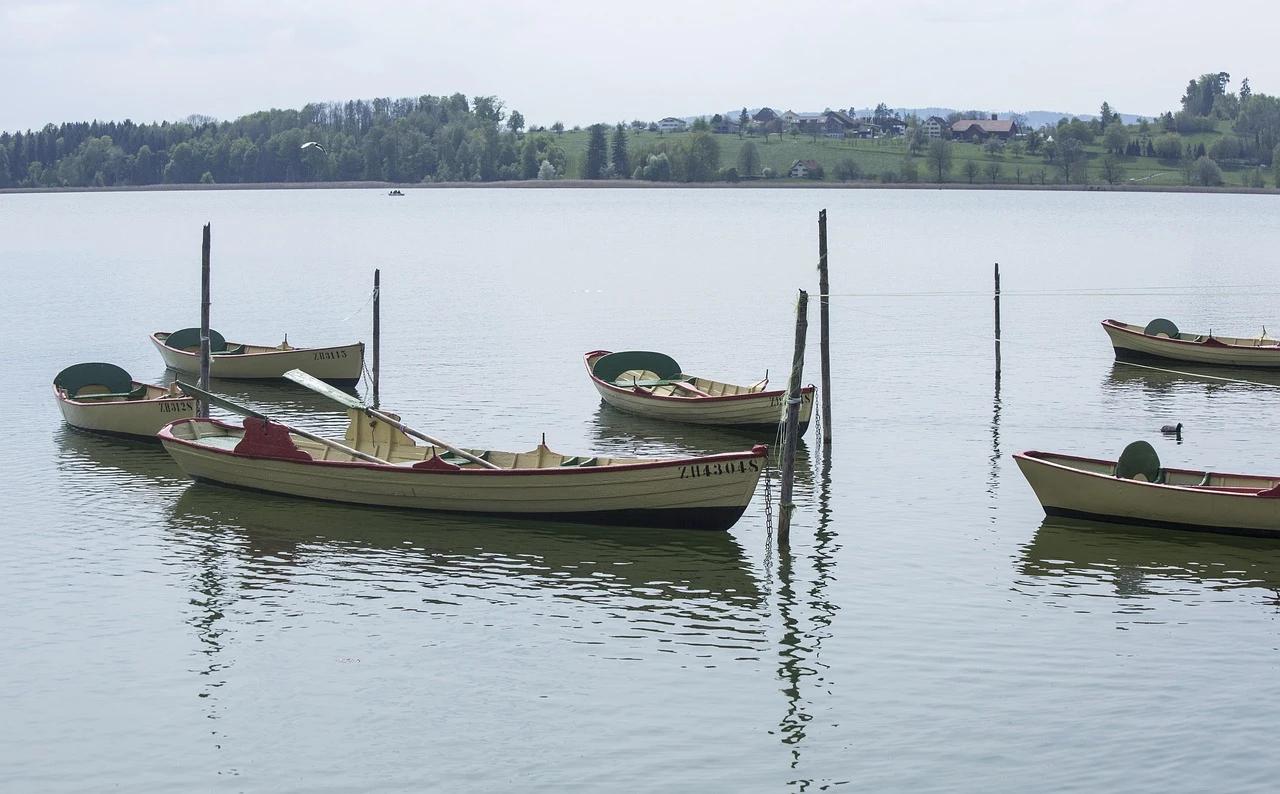 Pfäffikon fishing water slideshow