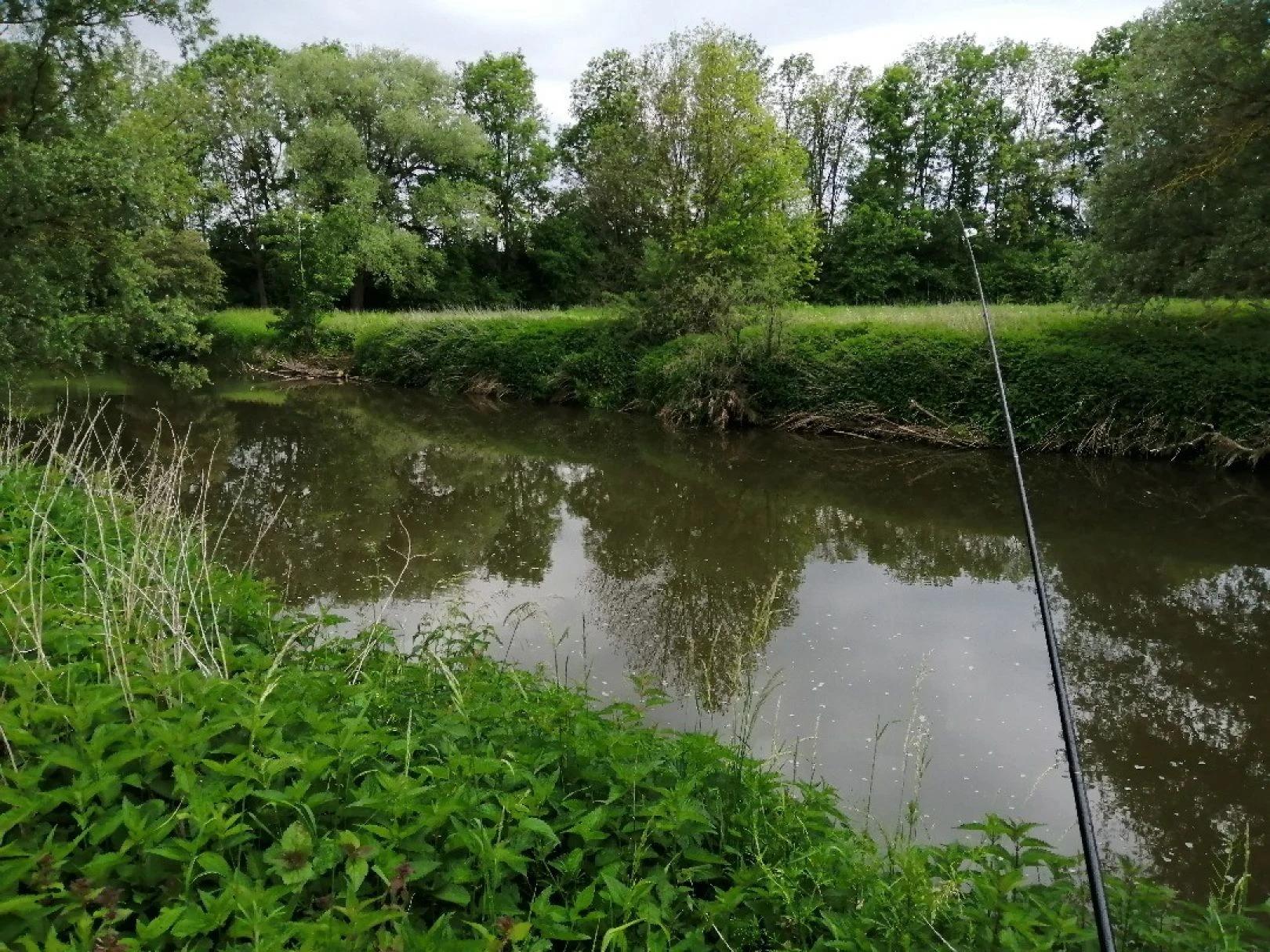 Isen (Hartinger Bach)
