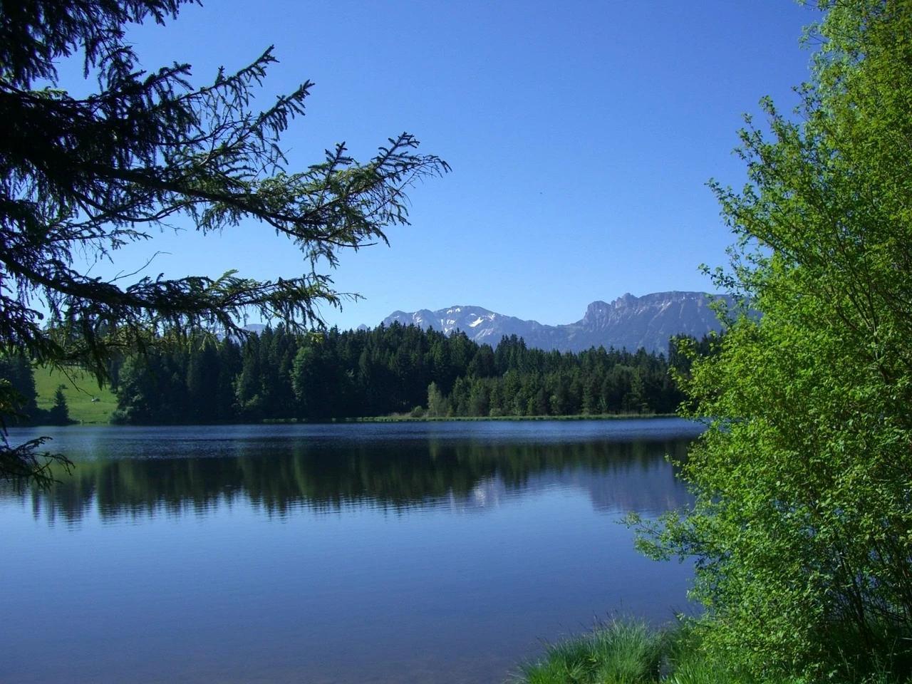 Kögelweiher