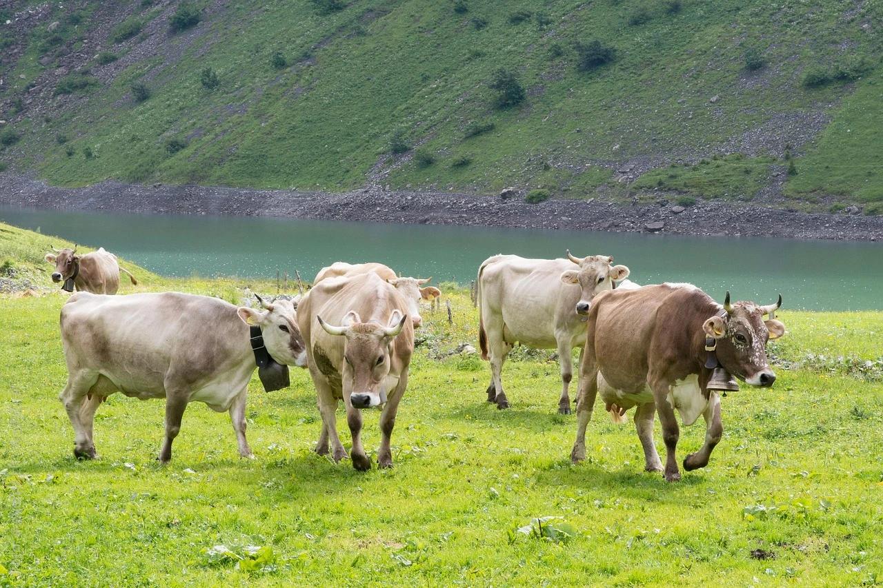 Oberblegisee