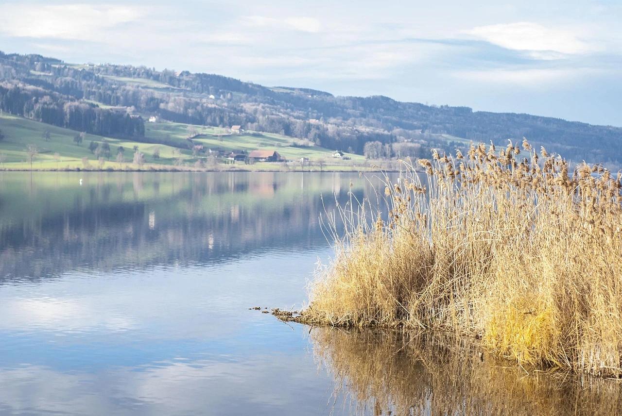 Baldeggersee