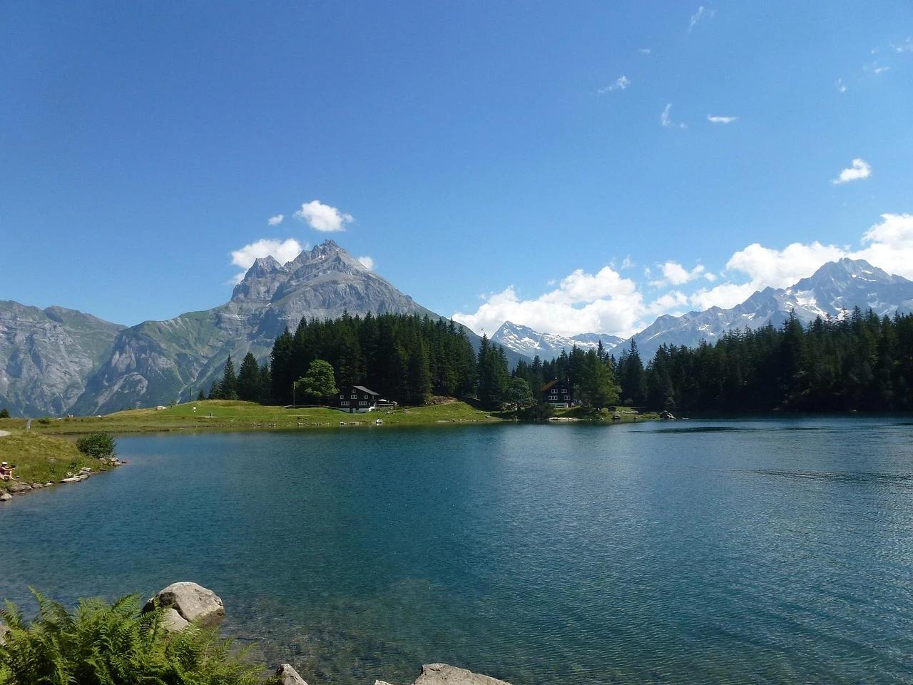 Arnisee