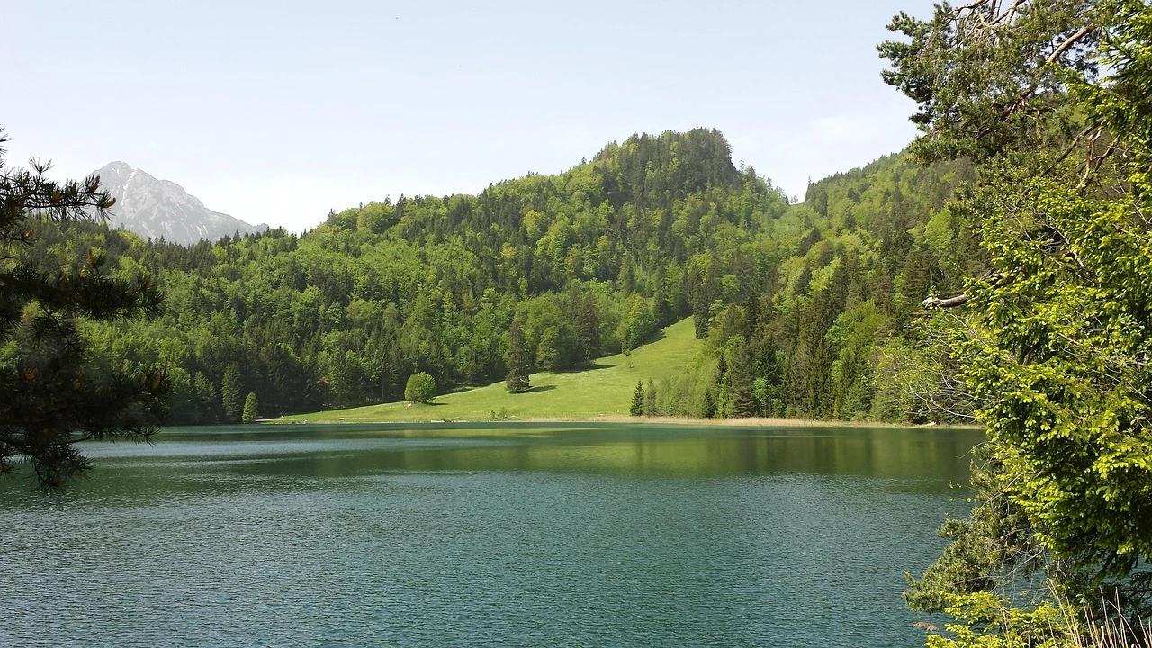 Alatsee