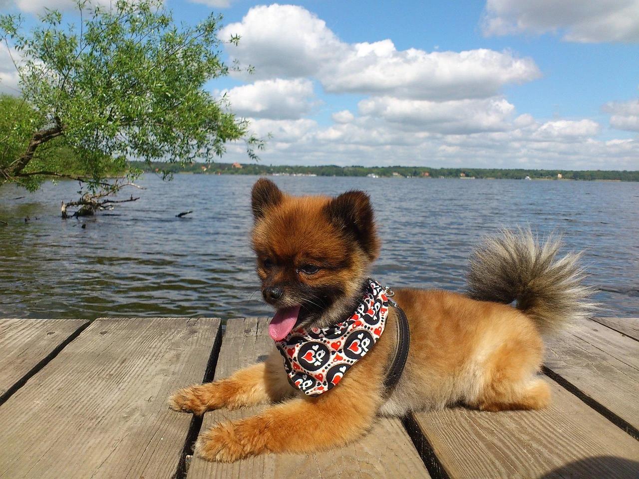 Wannsee