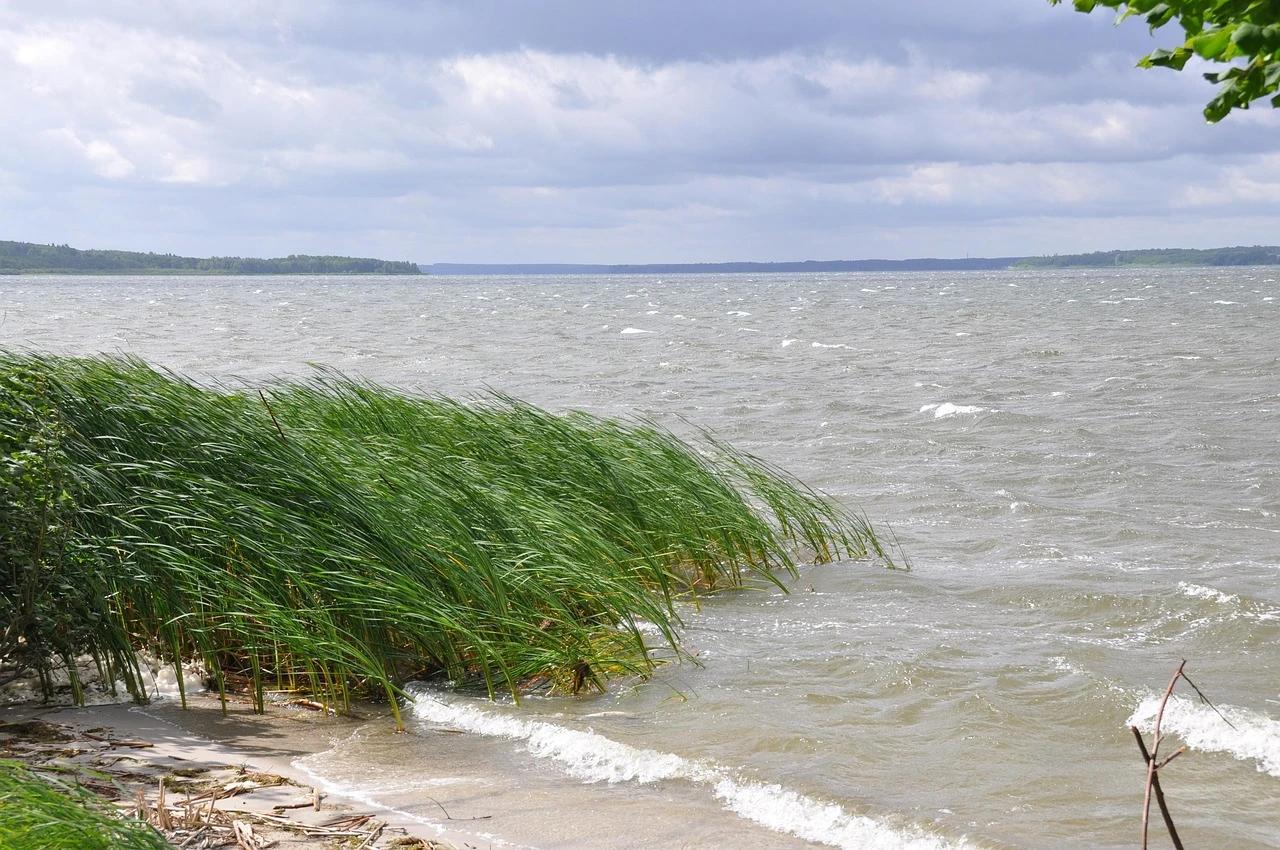 Plauer See