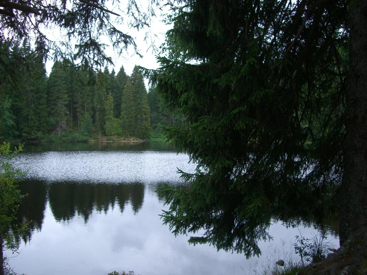 Mathisleweiher